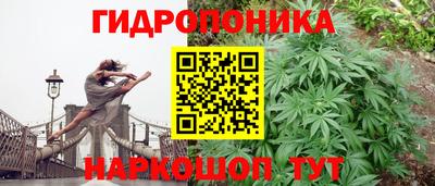 альфа пвп Шебекино
