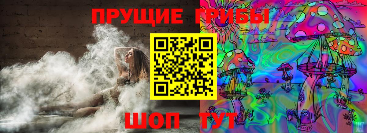 Борзя  Псилоцибиновые грибы Psilocybine cubensis  Вход с VPN  Псилоцибиновые грибы Magic Shrooms 